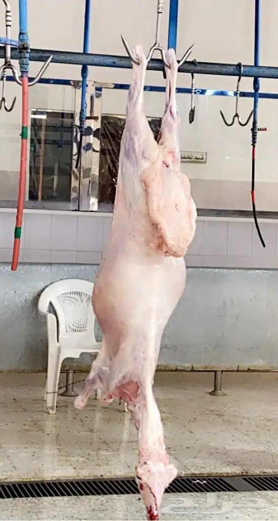 ذبايح مع خدمة الذبح والتوصيل 0