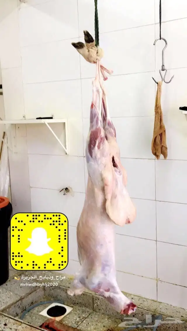 ذبايح مع خدمة الذبح والتوصيل 4