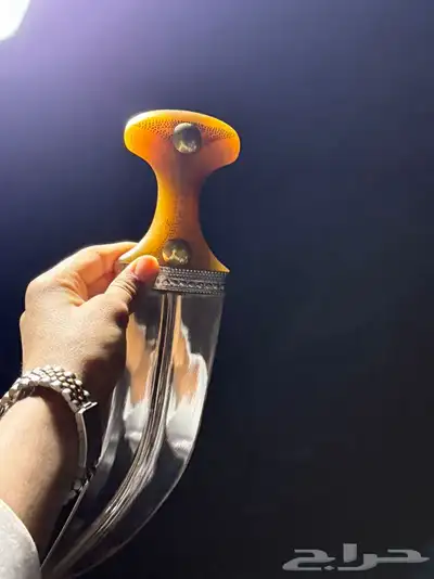 جنبيه مشرقي حك زراف 7