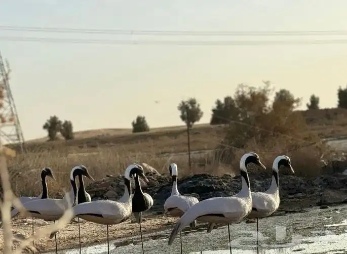 مجسم كرك رهو مجسمات كرك تماثيل كرك رهو مخاييل كرك رهو 0