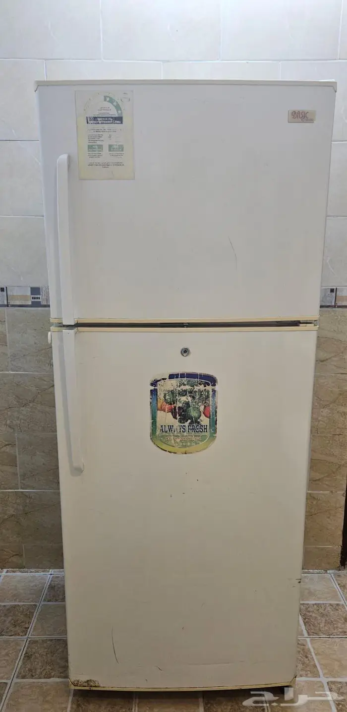 ثلاجه 1
