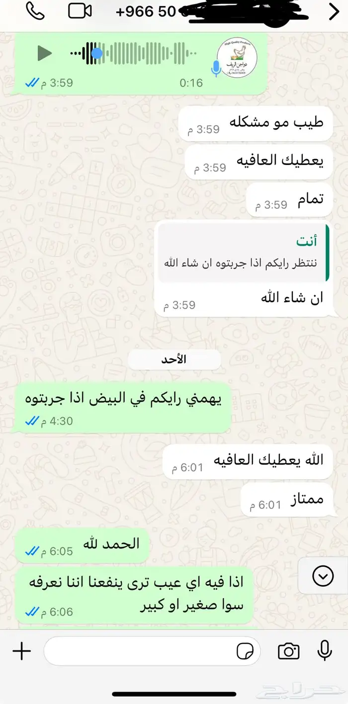 بيض بلدي فاخر وفريد من نوعه توصيل مجاني داخل الحي 17