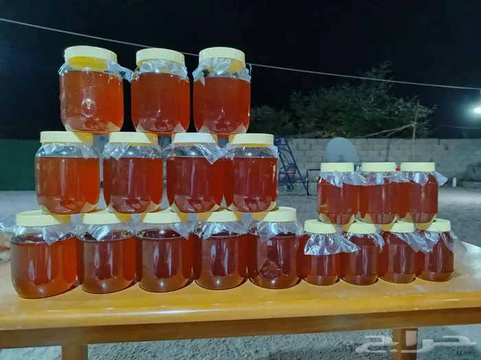 سمن ماعز على الشرط 1