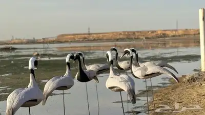 مجسم كرك رهو مجسمات كرك تماثيل كرك رهو مخاييل كرك رهو 4