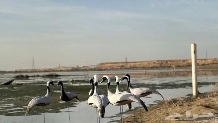 مجسم كرك رهو مجسمات كرك تماثيل كرك رهو مخاييل كرك رهو 3