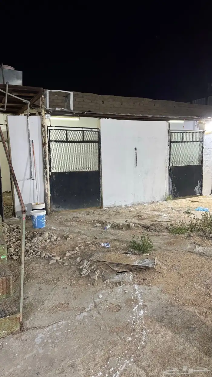 بايكات خيل خلف نادي الفروسيه 6