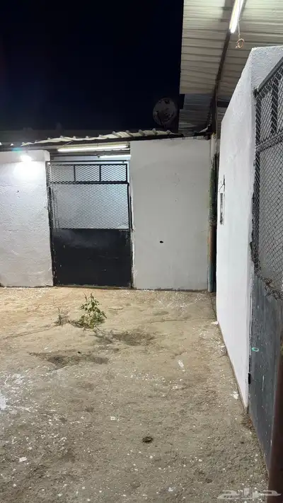 بايكات خيل خلف نادي الفروسيه 3