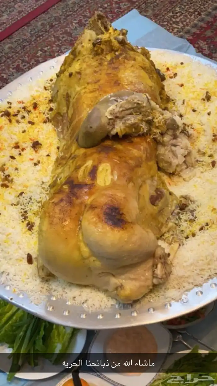 ذبائح حائل 4