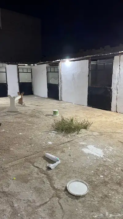 بايكات خيل خلف نادي الفروسيه 7
