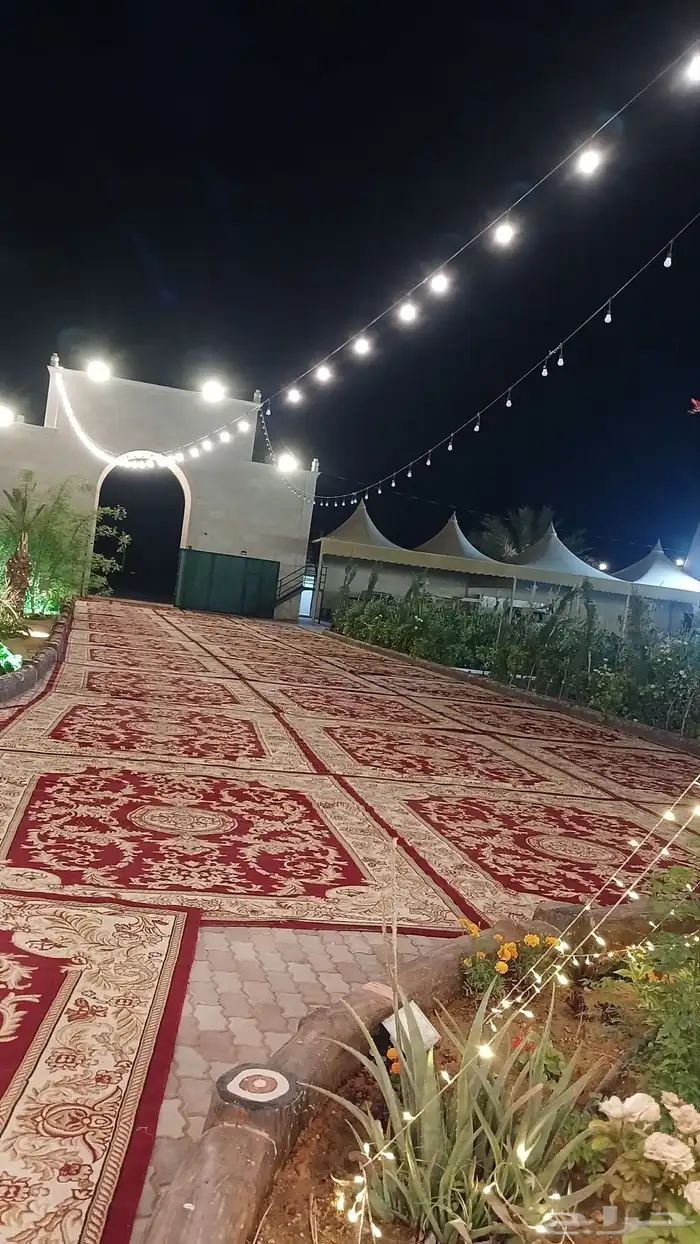 تأجير للحفلات والمناسبات كراسي وطاولات 4