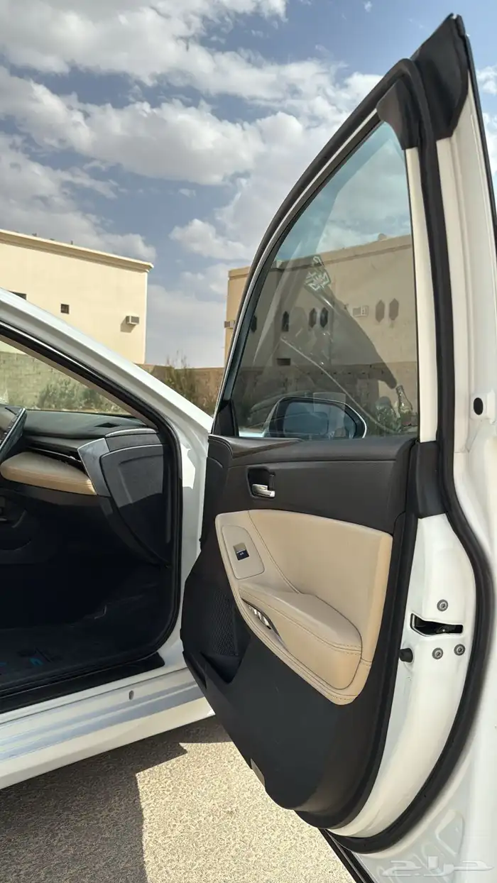 افالون 2019 19