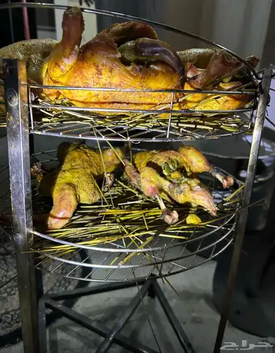 بط مسكوفي 2