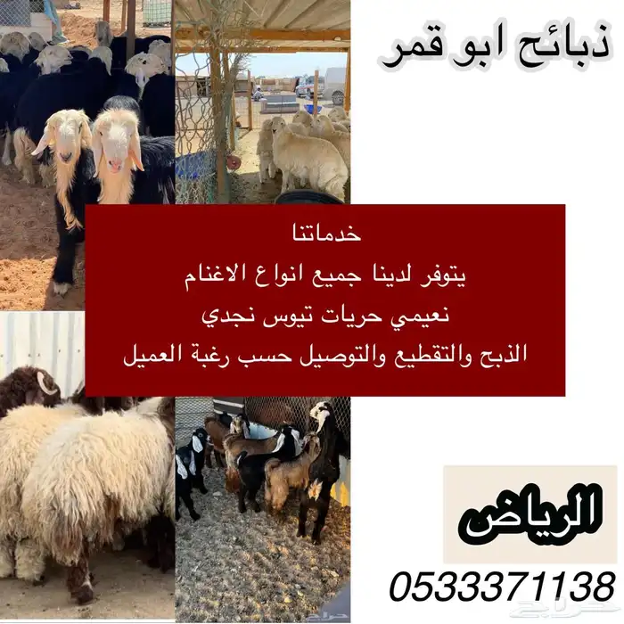 ذبايح نعيم وحريات وتيوس شي ناهي 6