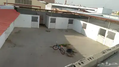 بايكات خيل خلف نادي الفروسيه 0
