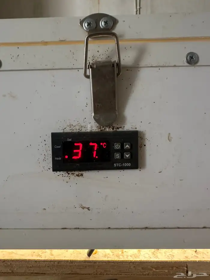 فقاسه بجميع أغراضها 1