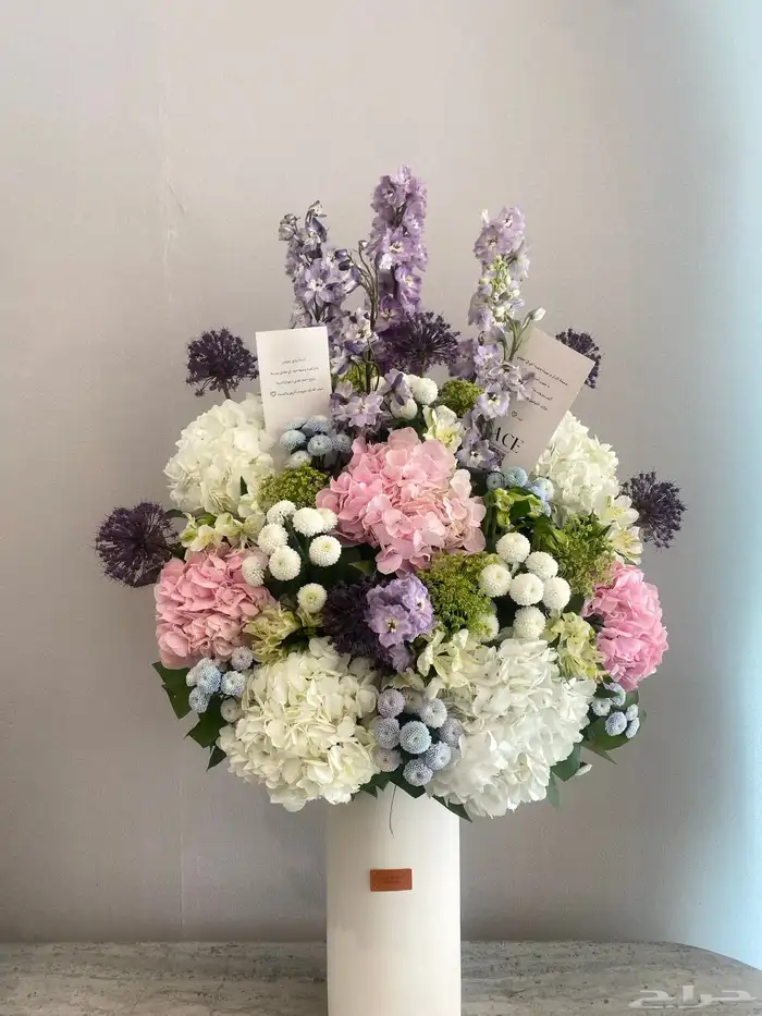 مندوب الرياض 6