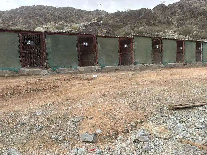 صناديق تصلح عزب وتصلح للحمام والدواجن والأعلاف 4