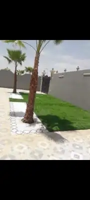 شتلات زراعيه 9