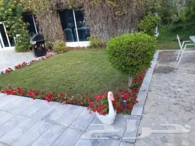 شتلات زراعيه 0