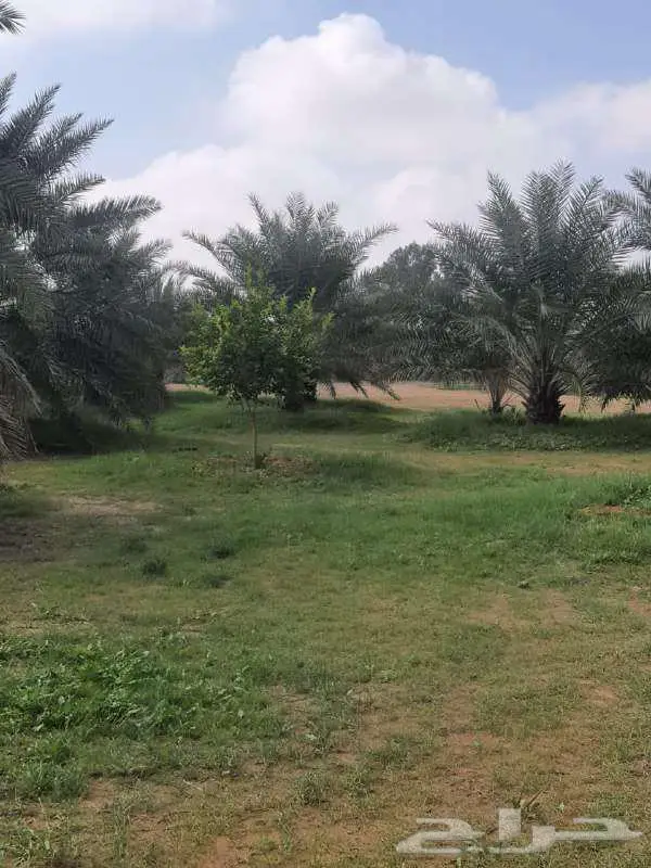 مزرعة للبيع في ثادق 9