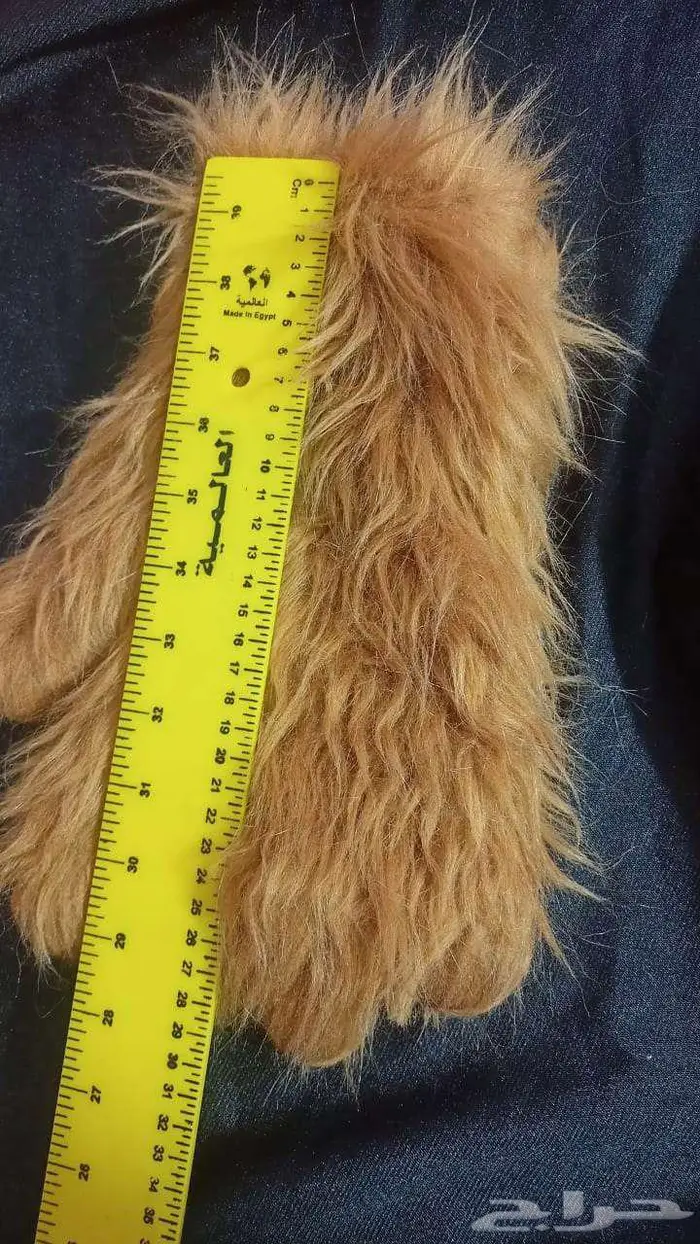 ملابس دباديب تنكريه تجهيز كافيهات دربي بوفيهات مطاعم ايسكريم 1