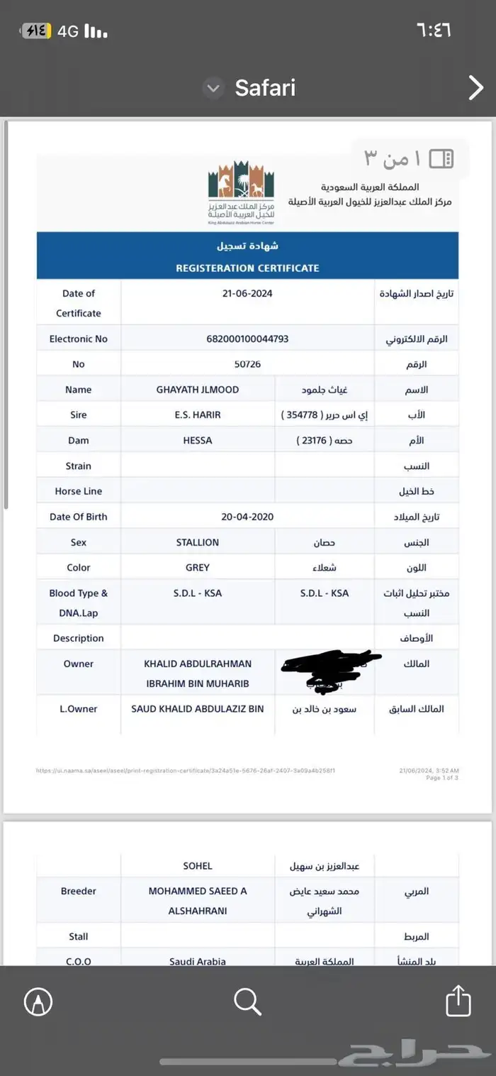 فحل رفيع و مميز ابن بطل العالم اي اس حرير 3
