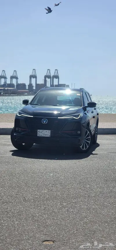 CS75 بلس   سي اس 75 بلس 2022 جيب شانجان 2