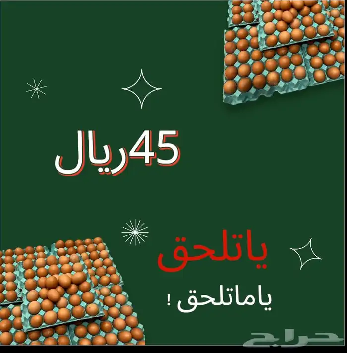 بيض لوهمان مخصب 3