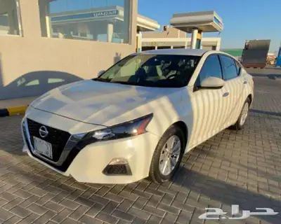 التيما 2022 2