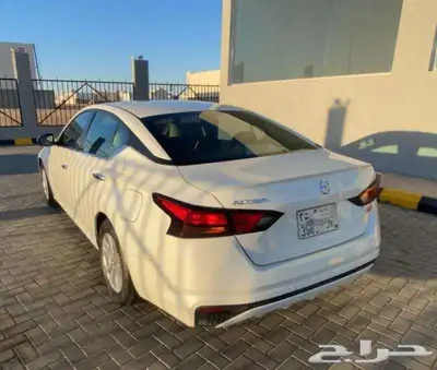 التيما 2022 4
