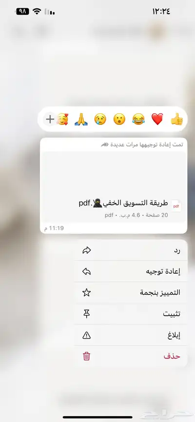 منتجات رقميه قابله للاعادة البيع 24