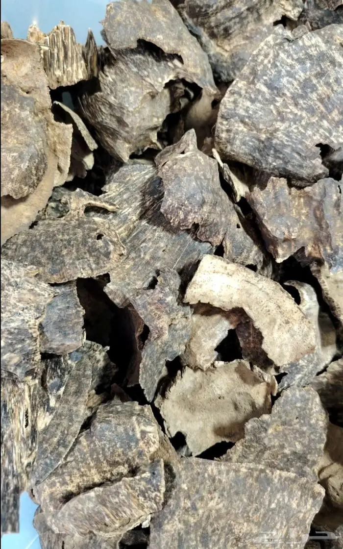 عود تشار جار فيتنامي دبل سوبر 1