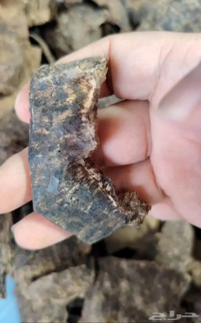 عود تشار جار فيتنامي دبل سوبر 3