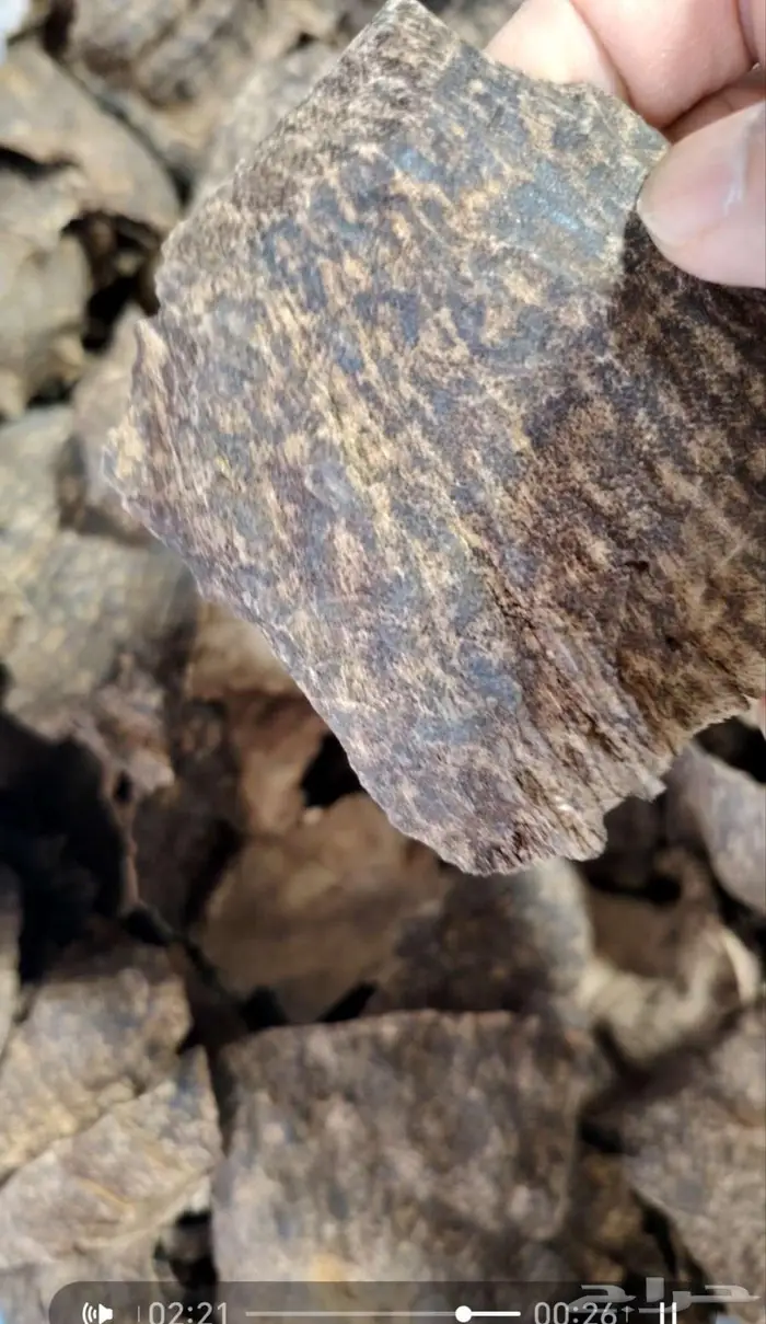 عود تشار جار فيتنامي دبل سوبر 0