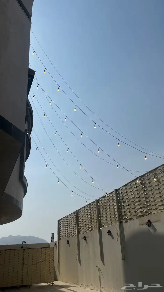 عقد لمبات لايجار حسب طلب 0