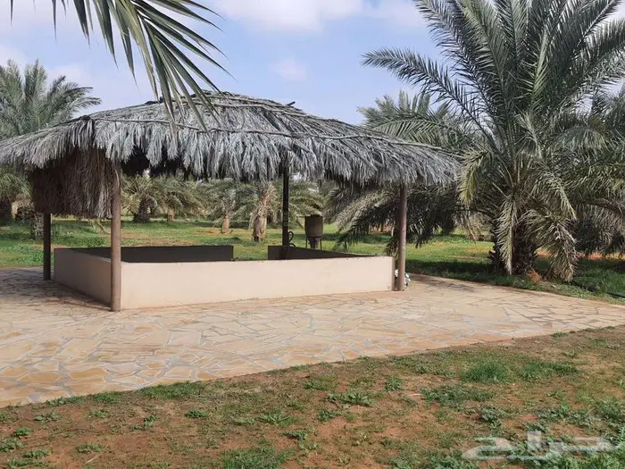 مزرعة للبيع في ثادق 6