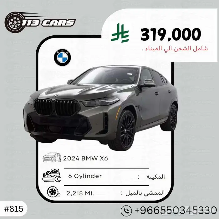 2024 BMW X 6 0