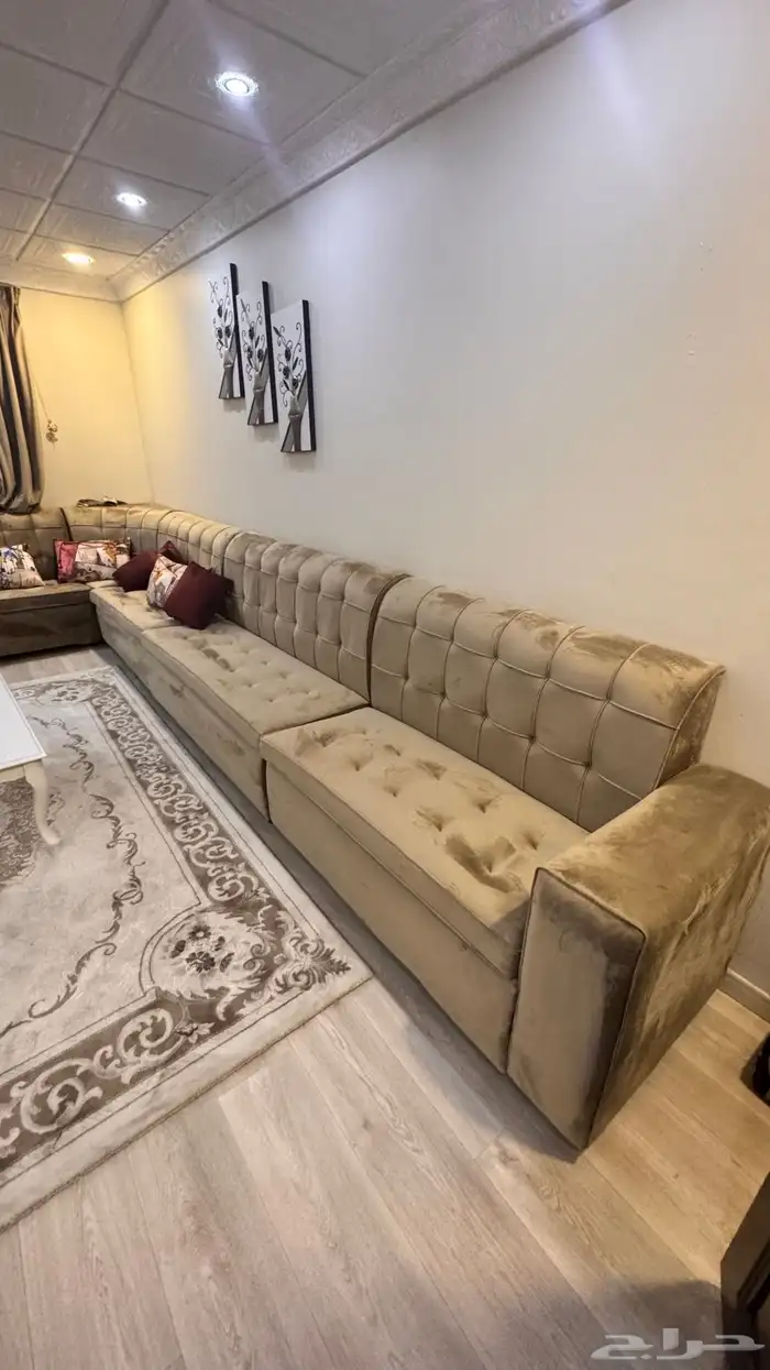 كنب مجلس رجال ونساء 5