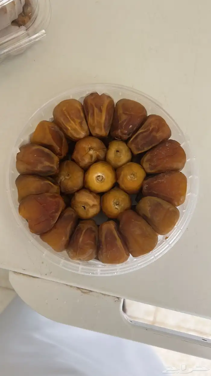 تمور القصيم تصفيه شاملة اقل سعر 4