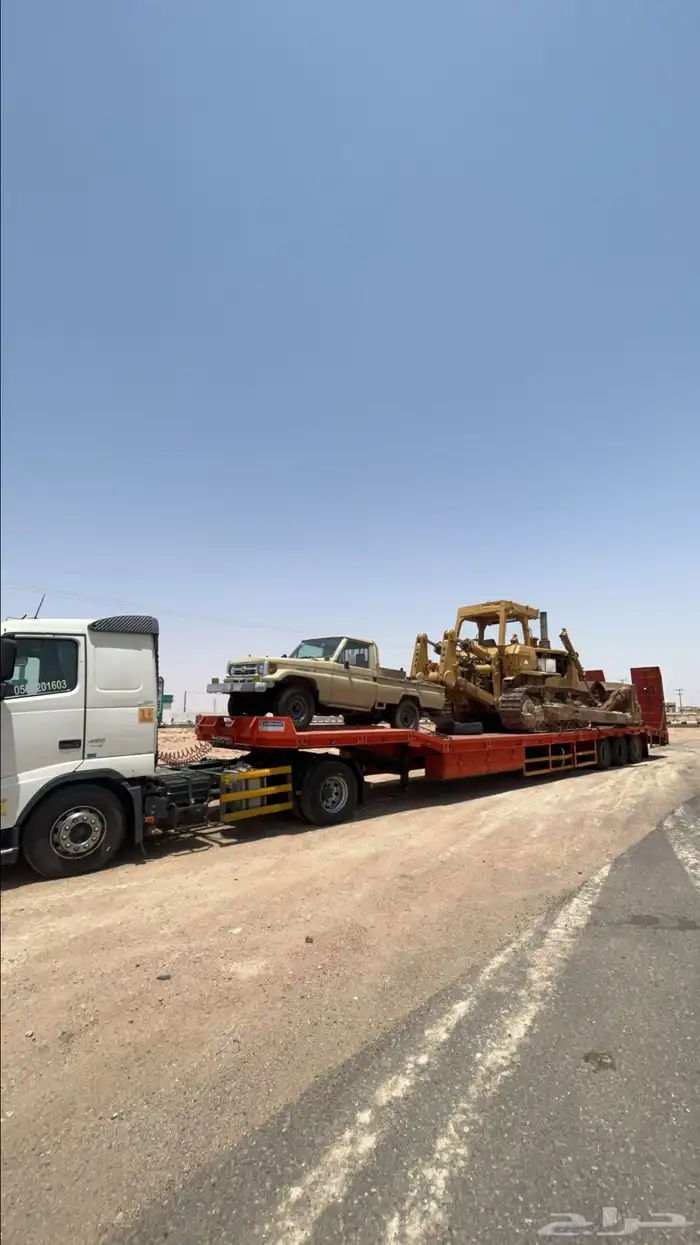 لوبد الاحساء 0
