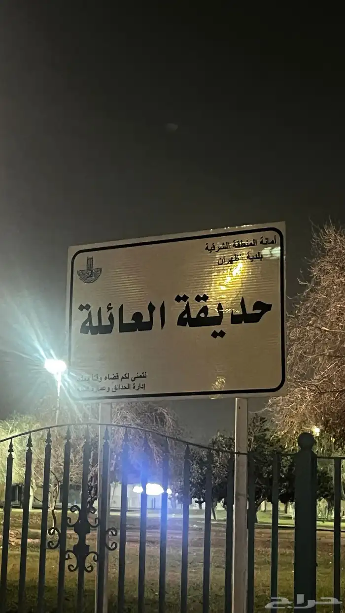 قطه مفقوده او مرميه 3
