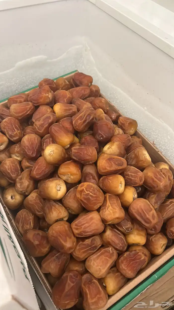 تمور القصيم تصفيه شاملة اقل سعر 6