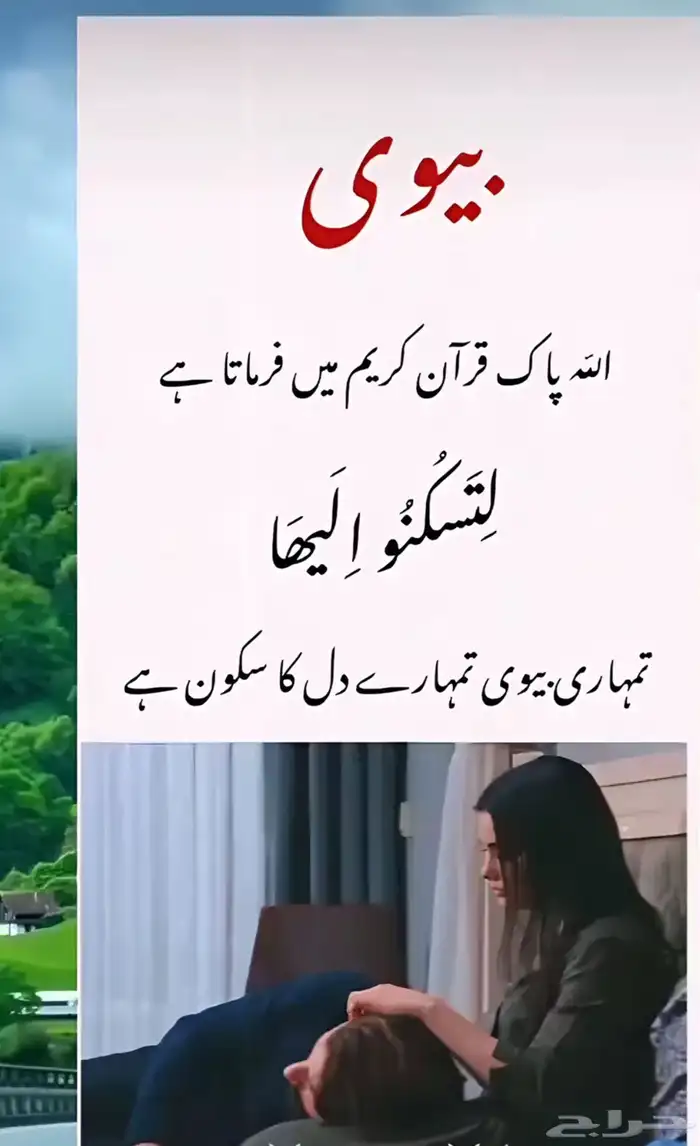شبك مكيف خارجى صندوق مكيفات خارجى شبك تيك 5