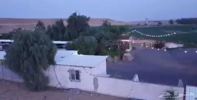 فرصة زراعية مميزة شرق بريدة مزرعة بالسويدة 10