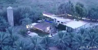 فرصة زراعية مميزة شرق بريدة مزرعة بالسويدة 0