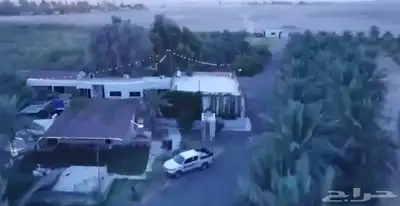 فرصة زراعية مميزة شرق بريدة مزرعة بالسويدة 4