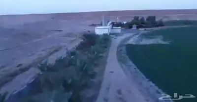 فرصة زراعية مميزة شرق بريدة مزرعة بالسويدة 9
