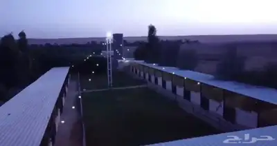 فرصة زراعية مميزة شرق بريدة مزرعة بالسويدة 12