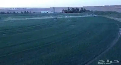 فرصة زراعية مميزة شرق بريدة مزرعة بالسويدة 1