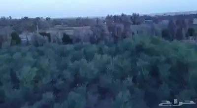 فرصة زراعية مميزة شرق بريدة مزرعة بالسويدة 14